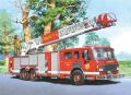 06595_1.jpg
