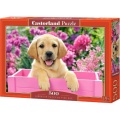 52226-box.jpg