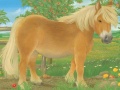 11751867.jpg