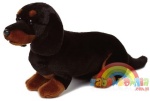 pluszowy piesek Miniaturowy Jamnik Krótkowłosy 28cm Anna Club Plush