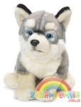 pluszowy piesek Siberian Husky 28cm Anna Club Plush - Haski