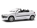 Peugeot_206_cc60.jpg