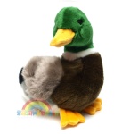 Pluszowa Dzika Kaczka 25cm - Anna Club Plush