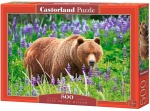 Castorland puzzle 500 elementów - Niedźwiedź Grizzli