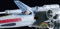 37063324.jpg