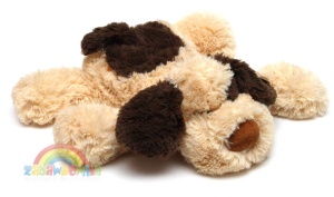 Kudłaty piesek leżący w sam raz do przytulania