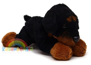 maskotka pluszowy piesek Doberman z groszkiem