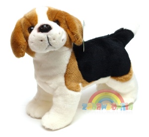 Pluszowy szczeniaczek beagle Aro 30cm