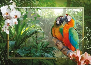 Ravensburger puzzle 1000 elementów Papugi cozy macaws