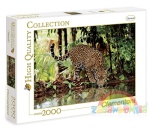 Clementoni puzzle 2000 elementów Leopard