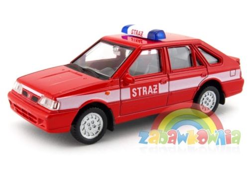 Polonez_straz_00[1].jpg