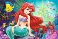 36513_096_02.png