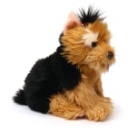 maskotka piesek York 35cm Yorkshire Terrier