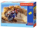castorland-fast-and-dust-b-iext50223791.jpg