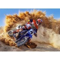 castorland-260-parca-fast-and-dust-cocuk-puzzle-41.jpg