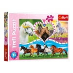 Trefl puzzle 200 Konie 13248