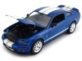 Shelby_Cobra_GT500_2007_10.jpg