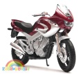 Yamaha_TDM850_2001_20.jpg