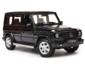 Mercedes_Benz_G_Class_60.jpg