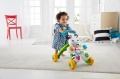 Fisher Price Interaktywny Chodzik Zebra-374093