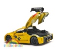 Renault_Megane_Trophy_10.jpg