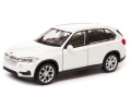 BMW_X5_Mini_Cooper_1300_050.jpg