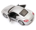 Porsche_Cayman_S_42374_100.jpg