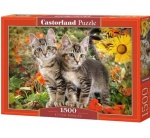 Puzzle 1500 Dwa kotki w kwiatach