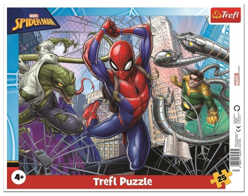 31347_0.jpg