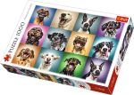 Trefl puzzle 1000 elementów Zabawnw psie portrety 10462