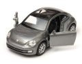 Volkswagen_The_Beetle_43650_170.jpg