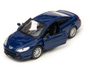 Peugeot_407_Coupe_42368_170.jpg