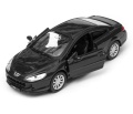Peugeot_407_Coupe_42368_180.jpg