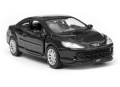 Peugeot_407_Coupe_42368_210.jpg
