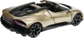 Bugatti_W16_Mistral_24127_100.jpg