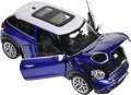 Mini_Cooper_Paceman_24050_140.jpg