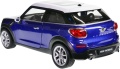 Mini_Cooper_Paceman_24050_100.jpg