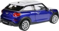 Mini_Cooper_Paceman_24050_090.jpg