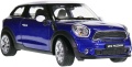 Mini_Cooper_Paceman_24050_050.jpg