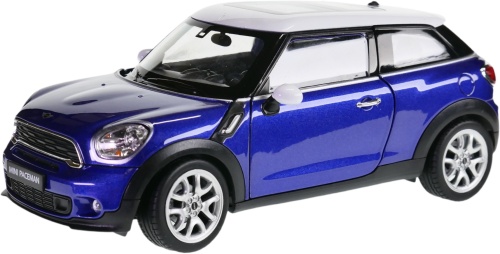 Mini_Cooper_Paceman_24050_040.jpg