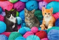 a7fb6f190393bc9ed6c4d90f17982957