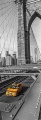 39305_30.jpg
