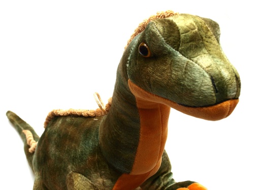 125-02884_10.jpg