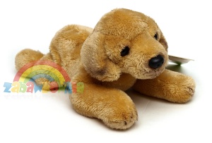 maskotka pluszowy piesek Labrador z groszkiem