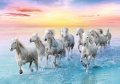 37289_096_02.png