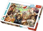 Trefl puzzle 260 elementów Kotki
