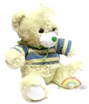 Pluszowy miś  Groszek