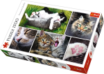 Trefl  Puzzle 1500 elementów - Kocie sprawy - kolaż 26145
