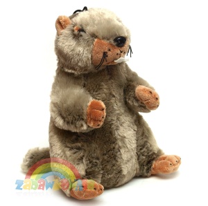 maskotka duży jodłujący świstak 26cm