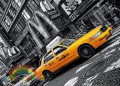 39274_10.jpg